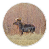 Bull Moose Aangepaste Keramische knop (Voorkant)