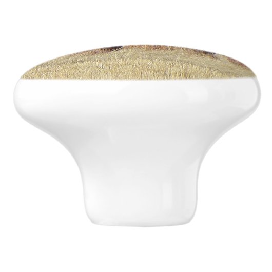 Bull Moose Aangepaste Keramische knop (Zijkant)