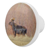 Bull Moose Aangepaste Keramische knop (Rechts)
