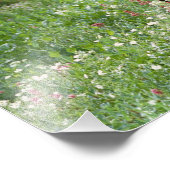 Bull moose Alces alces) in wildflowers, Foto Afdruk (Hoek)