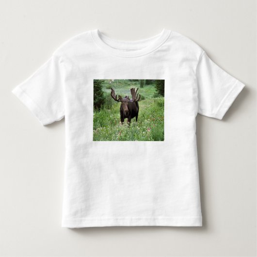 Bull moose Alces alces) in wildflowers, Kinder Shirts (Voorkant)