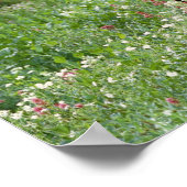 Bull moose Alces alces) in wildflowers, Poster (Hoek)