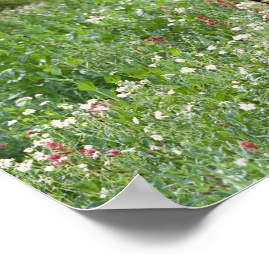 Bull moose Alces alces) in wildflowers, Poster (Hoek)