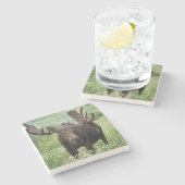 Bull moose Alces alces) in wildflowers, Stenen Onderzetter (Zijkant)