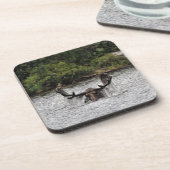 Bull Moose Bier Onderzetter (Linkerzijde)