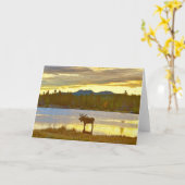 Bull Moose bij het meer Sprague, Colorado, Sunrise Kaart (Gele Bloem)