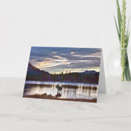 Bull Moose bij het meer Sprague, Colorado, Sunrise Kaart