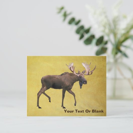 Bull Moose Briefkaart (Staand voorkant)