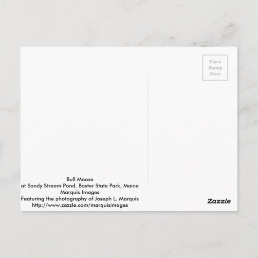 Bull Moose Briefkaart (Achterkant)