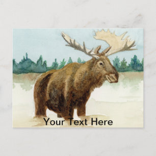 Bull Moose Briefkaart