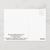 Bull Moose Briefkaart (Achterkant)