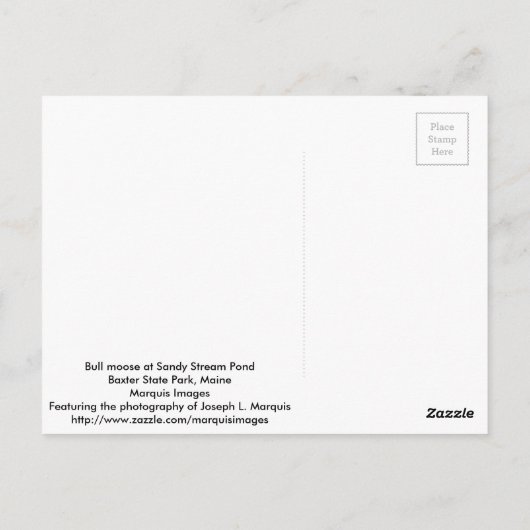 Bull Moose Briefkaart (Achterkant)