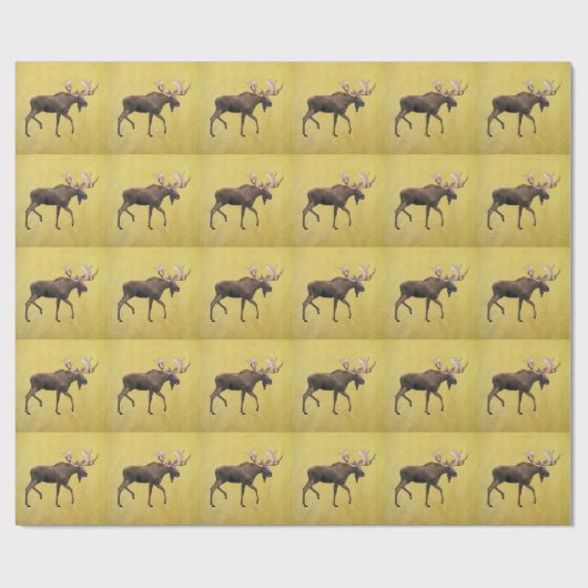 Bull Moose Cadeaupapier (Vlak)