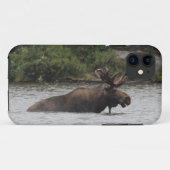 Bull Moose Case-Mate iPhone Case (Achterkant (horizontaal))