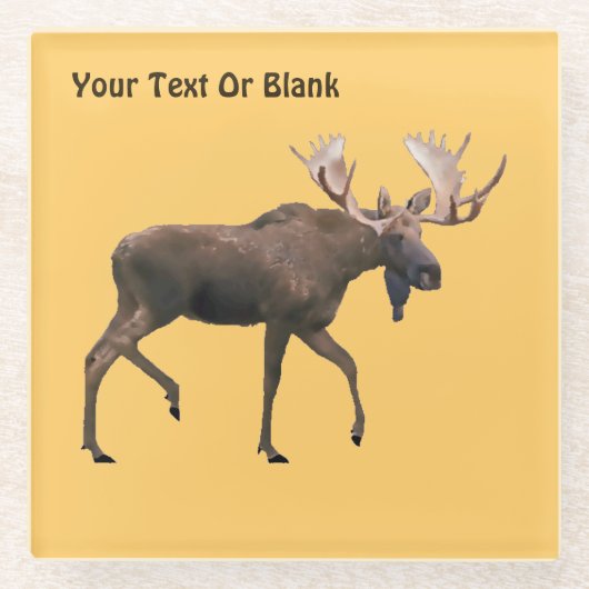 Bull Moose Glazen Onderzetter (Voorkant)