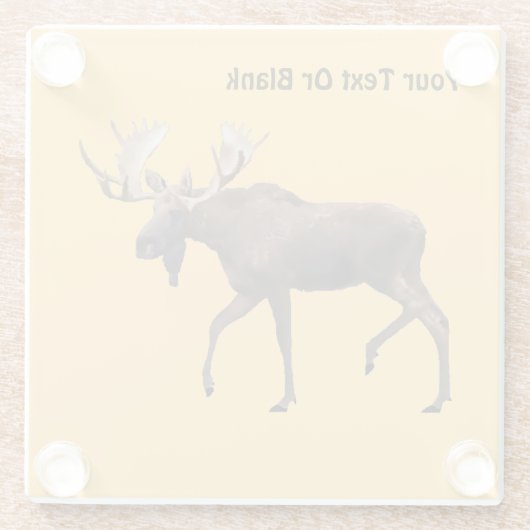 Bull Moose Glazen Onderzetter (Achterkant)