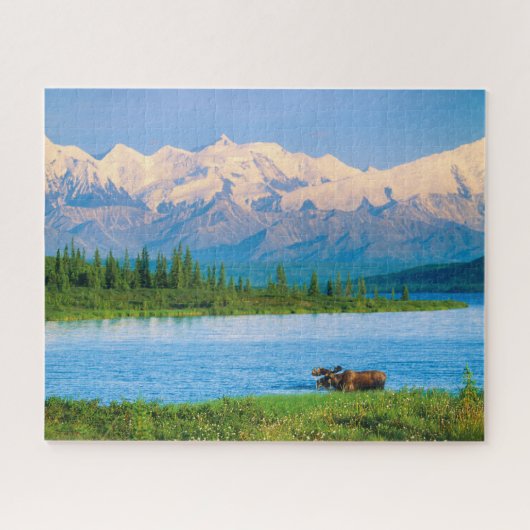 Bull moose in Wonder Lake Legpuzzel (Horizontaal)