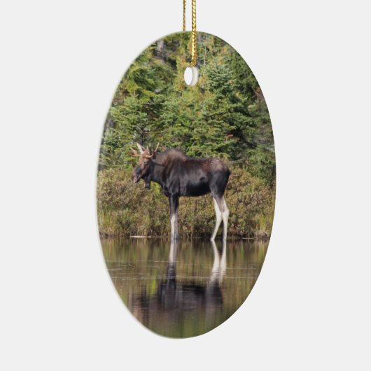 Bull Moose Keramisch Ornament (Rechts)