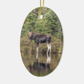 Bull Moose Keramisch Ornament (Links)