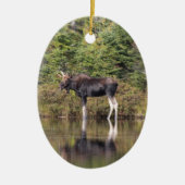 Bull Moose Keramisch Ornament (Voorkant)