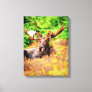 Bull Moose Laying Down Waterverf Paint Wildlife Canvas Afdruk