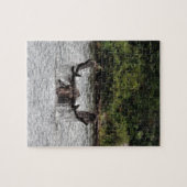 Bull Moose Legpuzzel (Horizontaal)