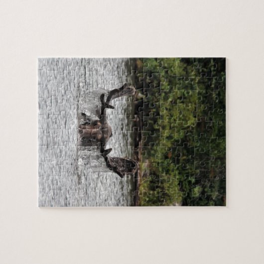 Bull Moose Legpuzzel (Horizontaal)