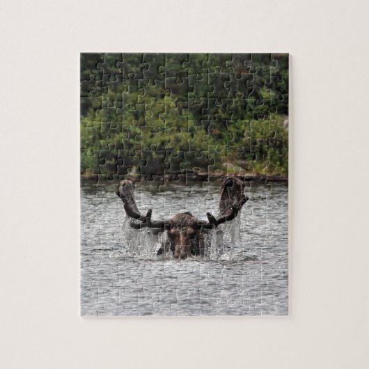 Bull Moose Legpuzzel (Verticaal)