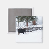 Bull Moose Magneet (Voorkant / Achterkant)