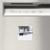 Bull Moose Magneet (Insitu (Vaatwasser))