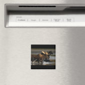 Bull Moose Magneet (Insitu (Vaatwasser))