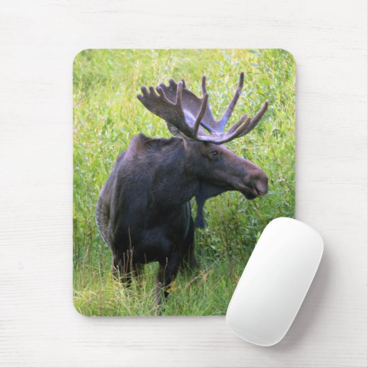 Bull Moose Muismat (Met muis)