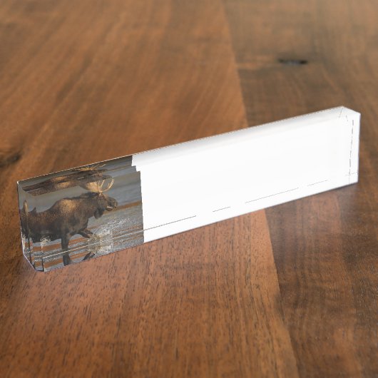 Bull Moose Naambordje