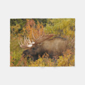 Bull Moose | Nationaal park Denali, Alaska Fleece Deken (Voorkant (Horizontaal))