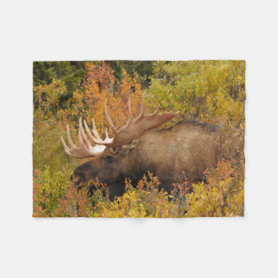 Bull Moose Nationaal park Denali, Alaska Fleece Deken