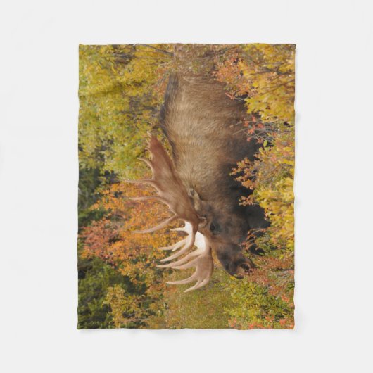 Bull Moose | Nationaal park Denali, Alaska Fleece Deken (Voorkant)