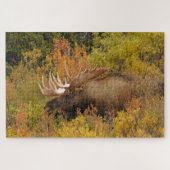 Bull Moose | Nationaal park Denali, Alaska Legpuzzel (Horizontaal)