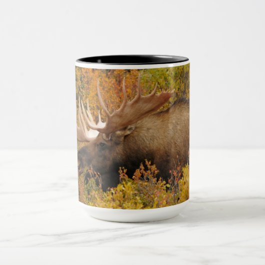 Bull Moose | Nationaal park Denali, Alaska Mok (Midden)