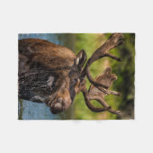 Bull Moose | Nationaal park Glacier Montana Fleece Deken (Voorkant (Horizontaal))