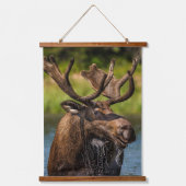 Bull Moose | Nationaal park Glacier Montana Hangend Wandkleed (Voorkant)