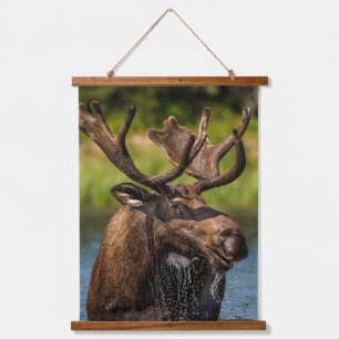 Bull Moose   Nationaal park Glacier Montana Hangend Wandkleed