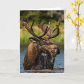 Bull Moose | Nationaal park Glacier Montana Kaart (Gele Bloem)