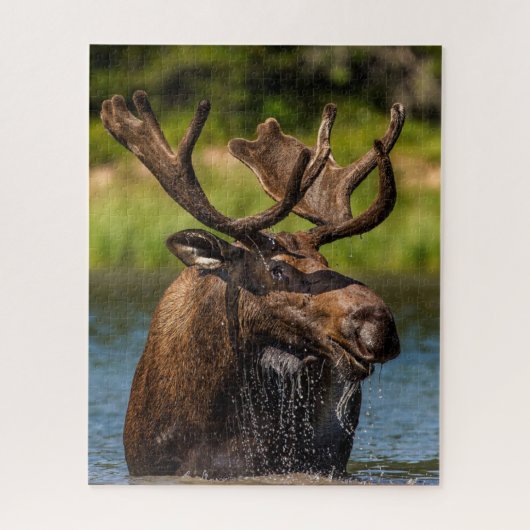 Bull Moose | Nationaal park Glacier Montana Legpuzzel (Verticaal)