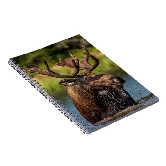 Bull Moose | Nationaal park Glacier Montana Notitieboek (Rechterzijde)