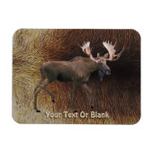 Bull Moose On Cariou Fur Magneet (Horizontaal)