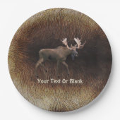 Bull Moose On Cariou Fur Papieren Bordje (Voorkant)