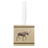 Bull Moose op oud papier Decoratie (Voorkant)