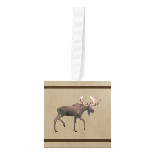 Bull Moose op oud papier Decoratie (Voorkant)