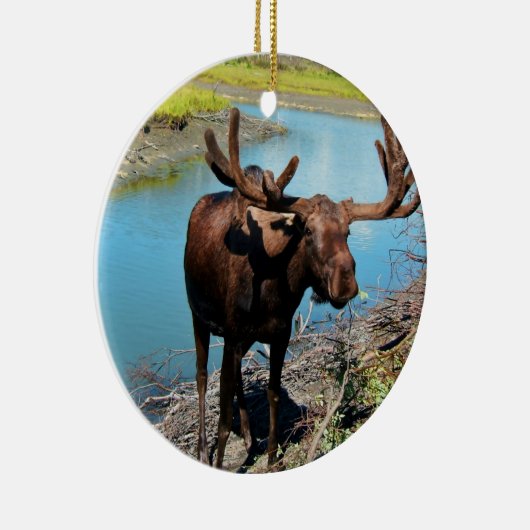 Bull Moose Ornament (Rechts)
