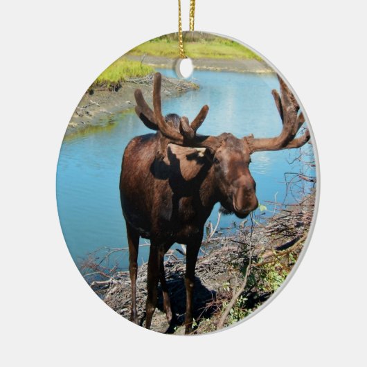 Bull Moose Ornament (Links)